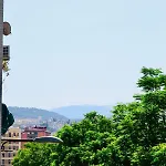 Faisán 20 *